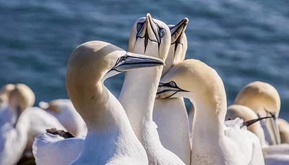 九游官网：一站式游戏世界的信任与热爱