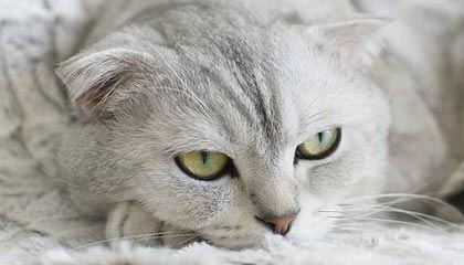 九游官网：一站式游戏世界的信任与热爱